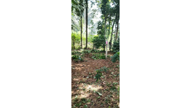 LAND FOR SALE IN MINUWANGODA
