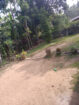 LAND WITH HOUSE FOR SALE IN VEYANGODA..