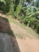LAND WITH HOUSE FOR SALE IN VEYANGODA..