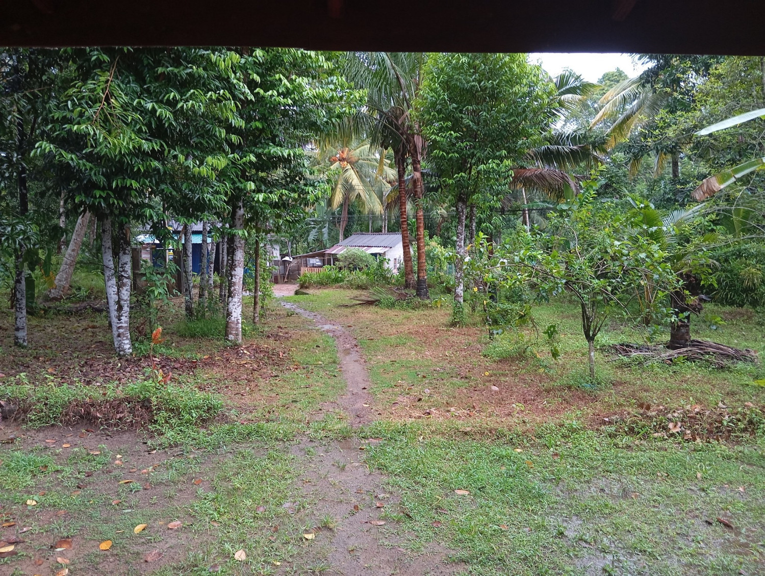 LAND FOR SALE IN MILLANIYA, HORANA