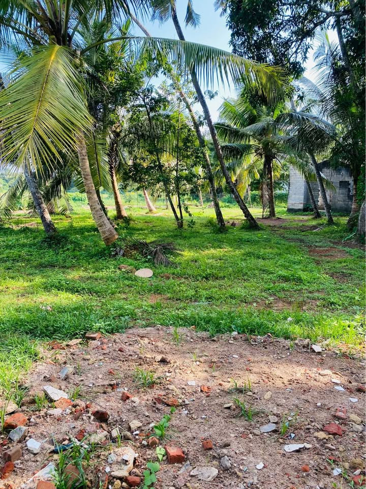LAND FOR SALE IN GAMPAHA UDUGAMPOLA