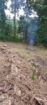 LAND FOR SALE IN PITIPANA, HOMAGAMA