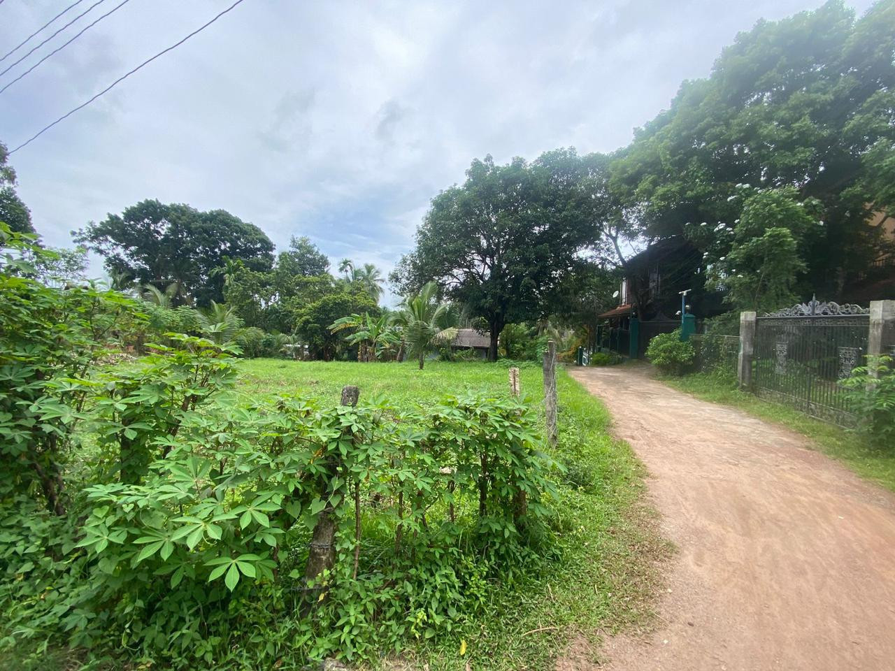 15-PERCH LAND FOR SALE IN YAKKADUWA, JA-ELA