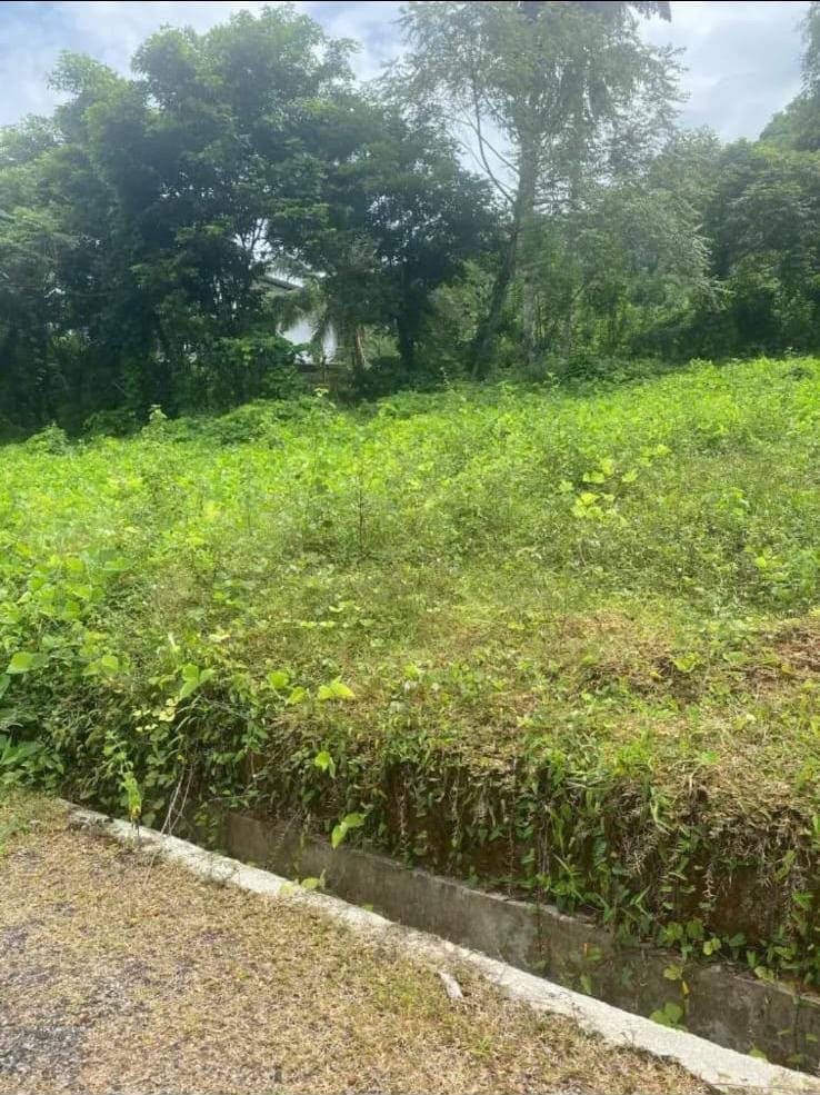 LAND FOR SALE IN HORANA