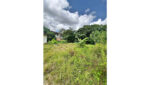Maharagama Land for Sale….