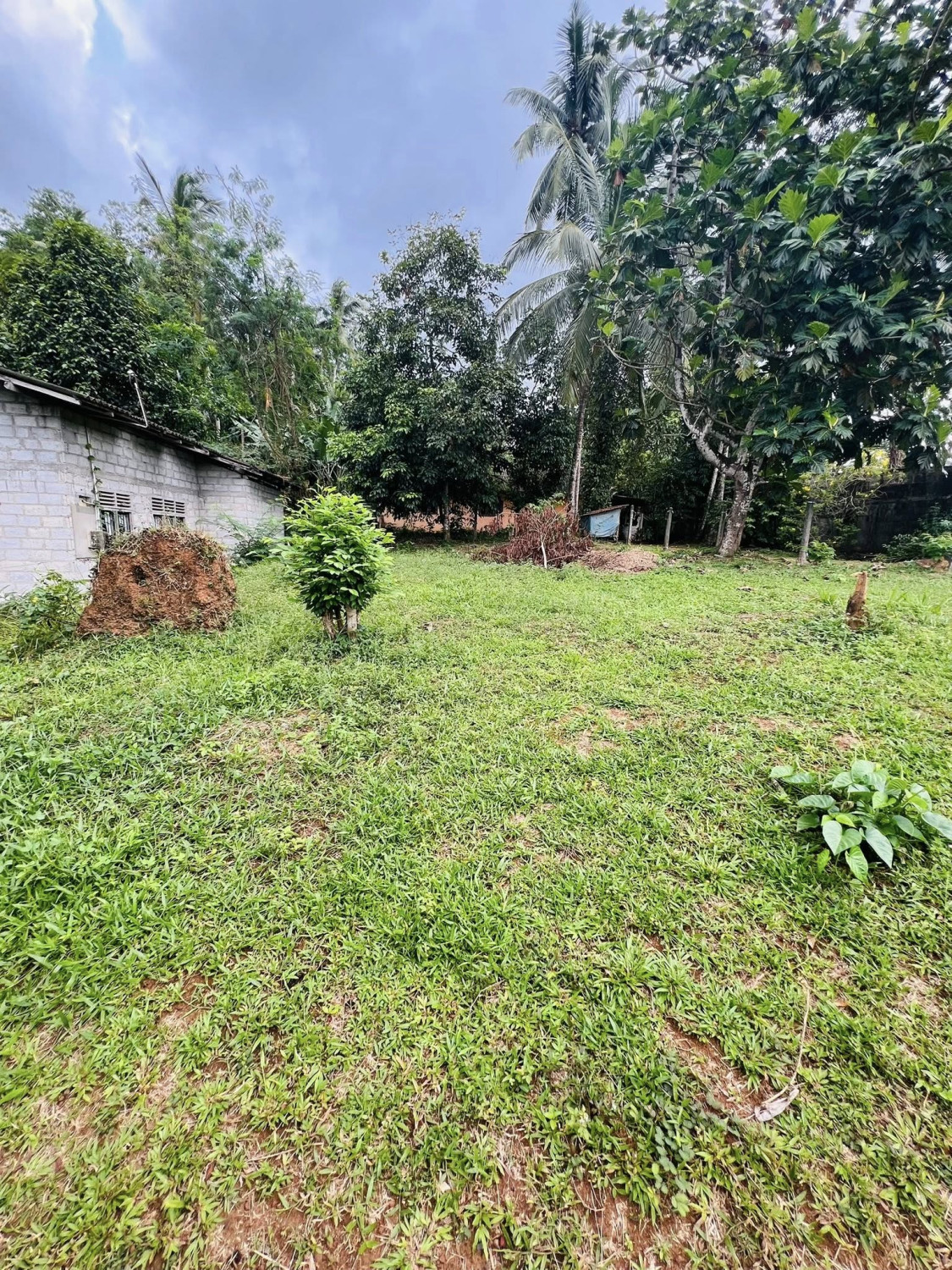 10-PERCH LAND FOR SALE IN WATHUPITIWALA, NITTAMBUWA