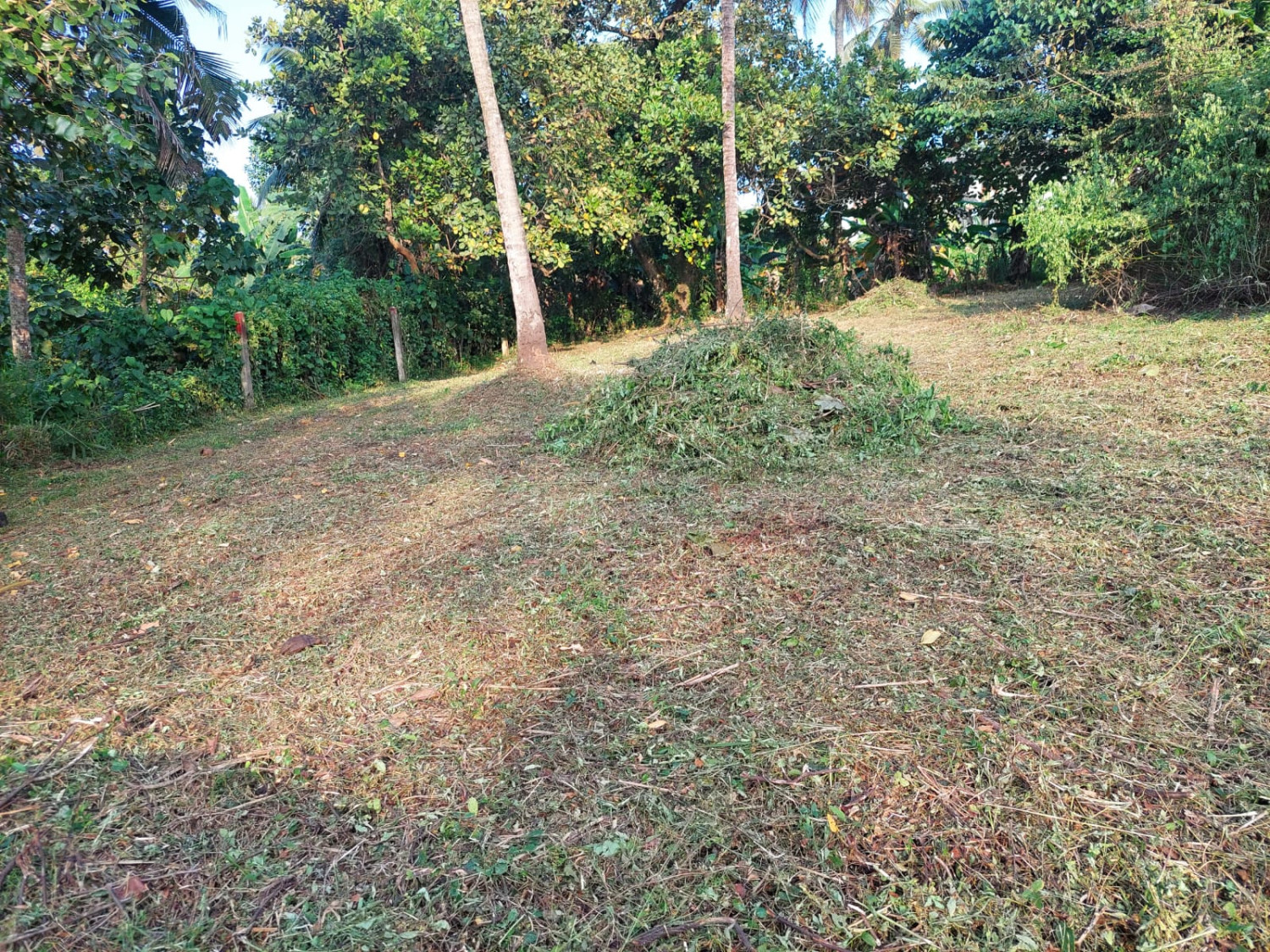 LAND FOR SALE IN KADAWATHA (NELIGAMA)