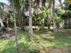 🏡 කුරණින් වටිනා ඉඩමක් විකිණීමට 🏡