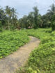 LAND FOR SALE IN HORANA