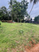 10-PERCH LAND FOR SALE IN WATHUPITIWALA, NITTAMBUWA