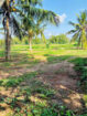 LAND FOR SALE IN GAMPAHA UDUGAMPOLA