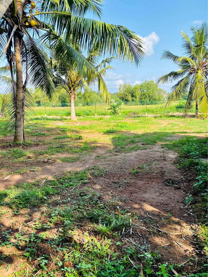 LAND FOR SALE IN GAMPAHA UDUGAMPOLA