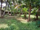 🏡 කුරණින් වටිනා ඉඩමක් විකිණීමට 🏡