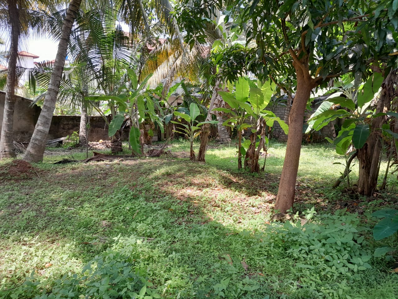 🏡 කුරණින් වටිනා ඉඩමක් විකිණීමට 🏡