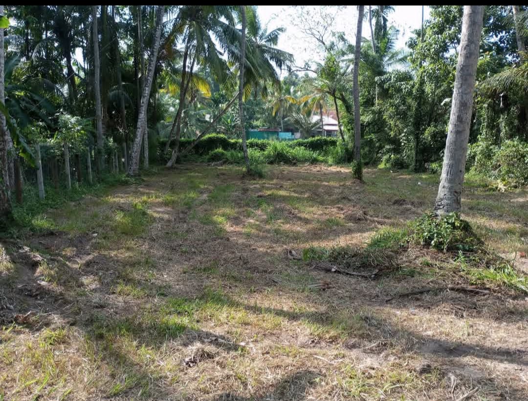 අන්ඩිඅම්බලම ඉඩමක් විකිණීමට.