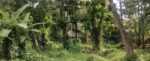 land for sale in thimbirigaskattuwa, negombo