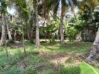 🏡 කුරණින් වටිනා ඉඩමක් විකිණීමට 🏡