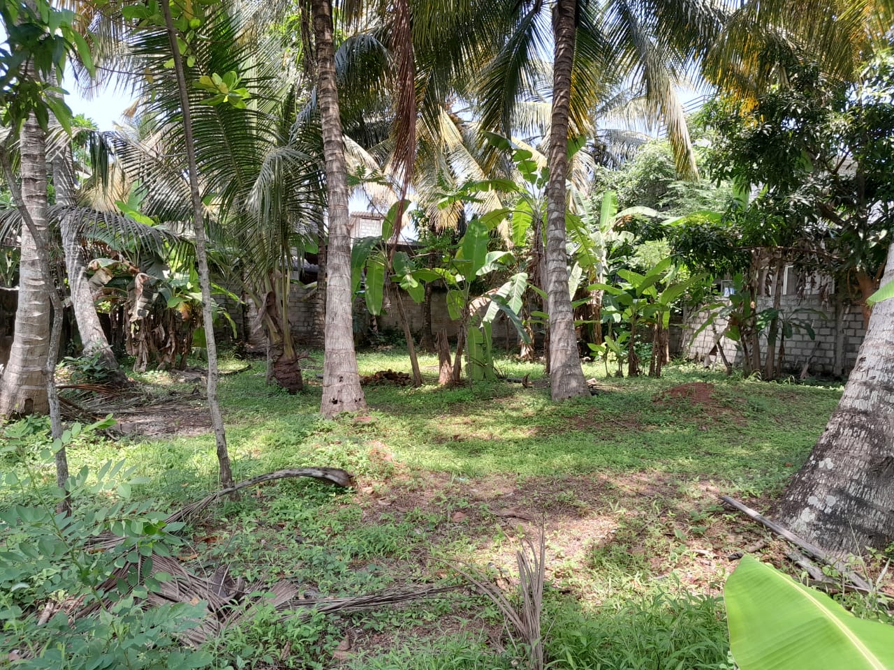🏡 කුරණින් වටිනා ඉඩමක් විකිණීමට 🏡
