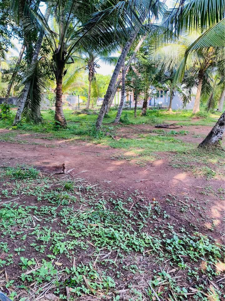 LAND FOR SALE IN GAMPAHA UDUGAMPOLA