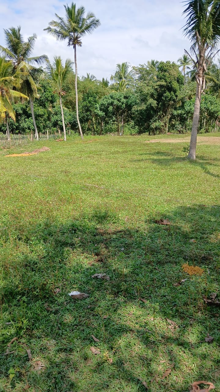 මිනුවන්ගොඩ ,වල්පිටමුල්ල,පතහහේන පාර අනගි බිම් කොටස…