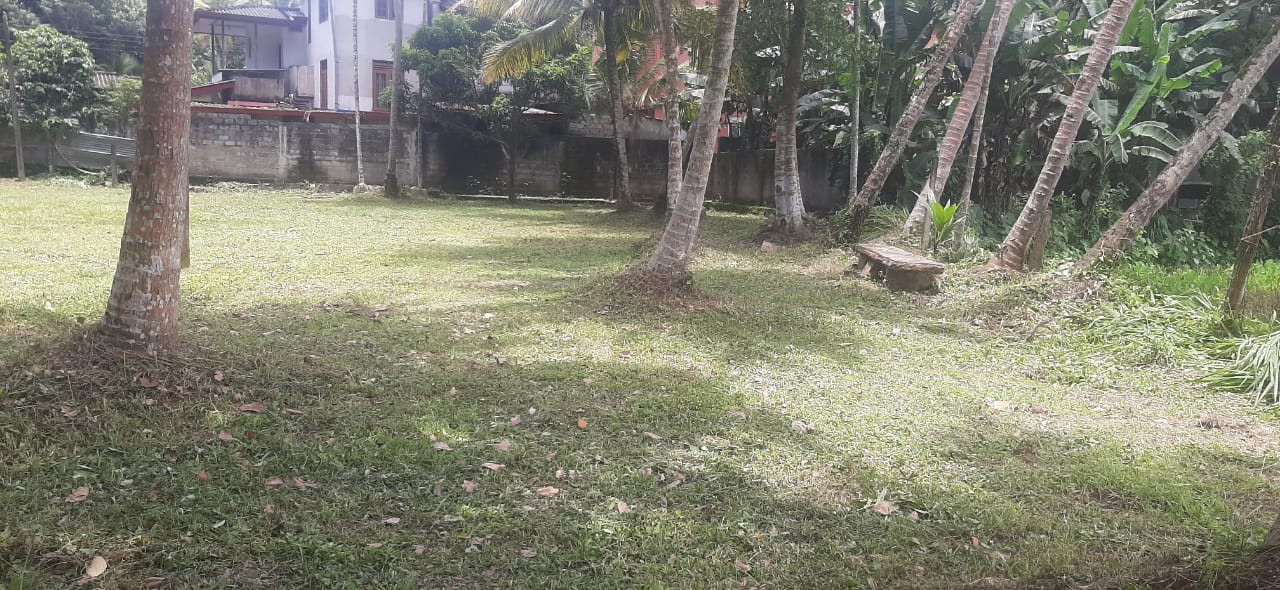 LAND FOR SALE IN BUTHPITIYA, GAMPAHA