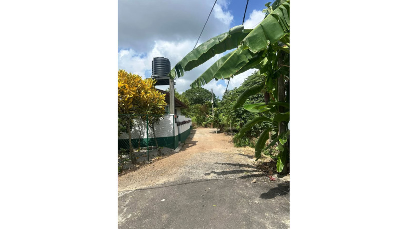 Maharagama Land for Sale….