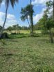 Katana Miriswatta land for sale