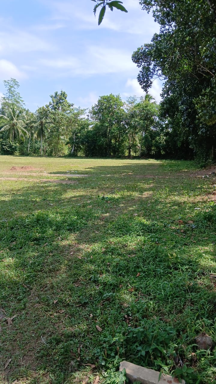 මිනුවන්ගොඩ ,වල්පිටමුල්ල,පතහහේන පාර අනගි බිම් කොටස…