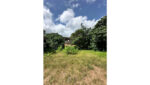 Maharagama Land for Sale….