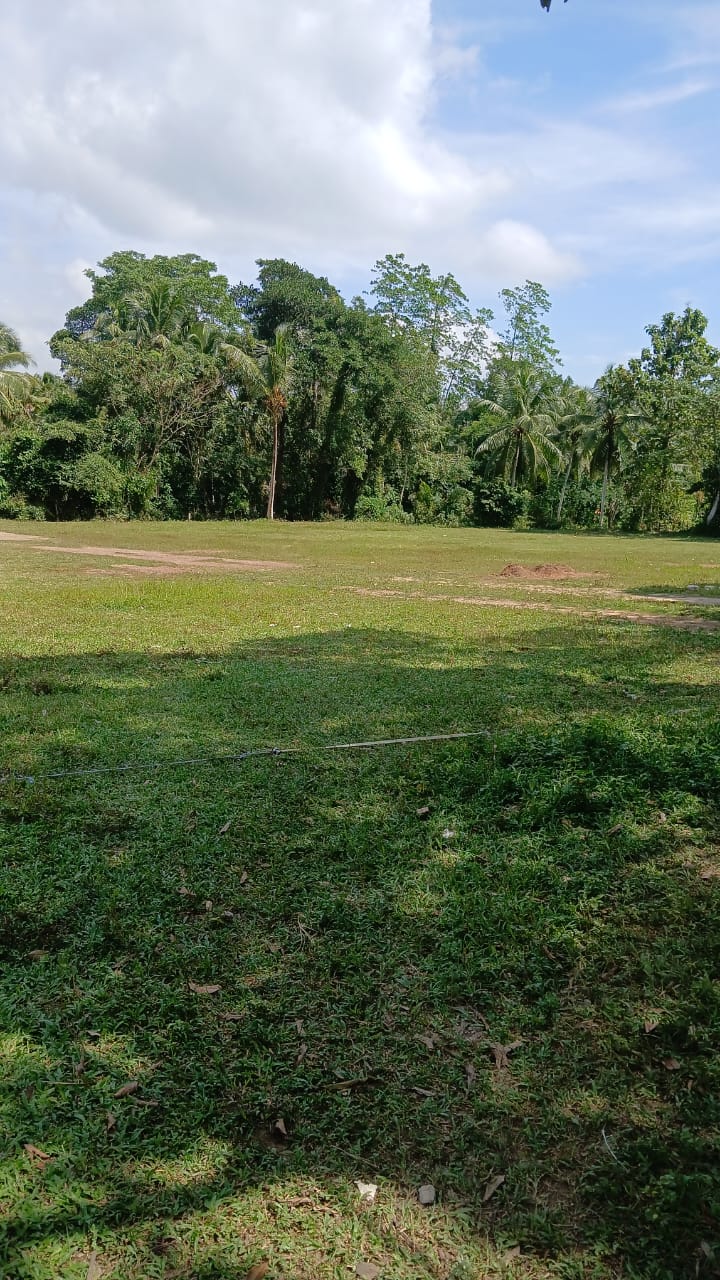 මිනුවන්ගොඩ ,වල්පිටමුල්ල,පතහහේන පාර අනගි බිම් කොටස…