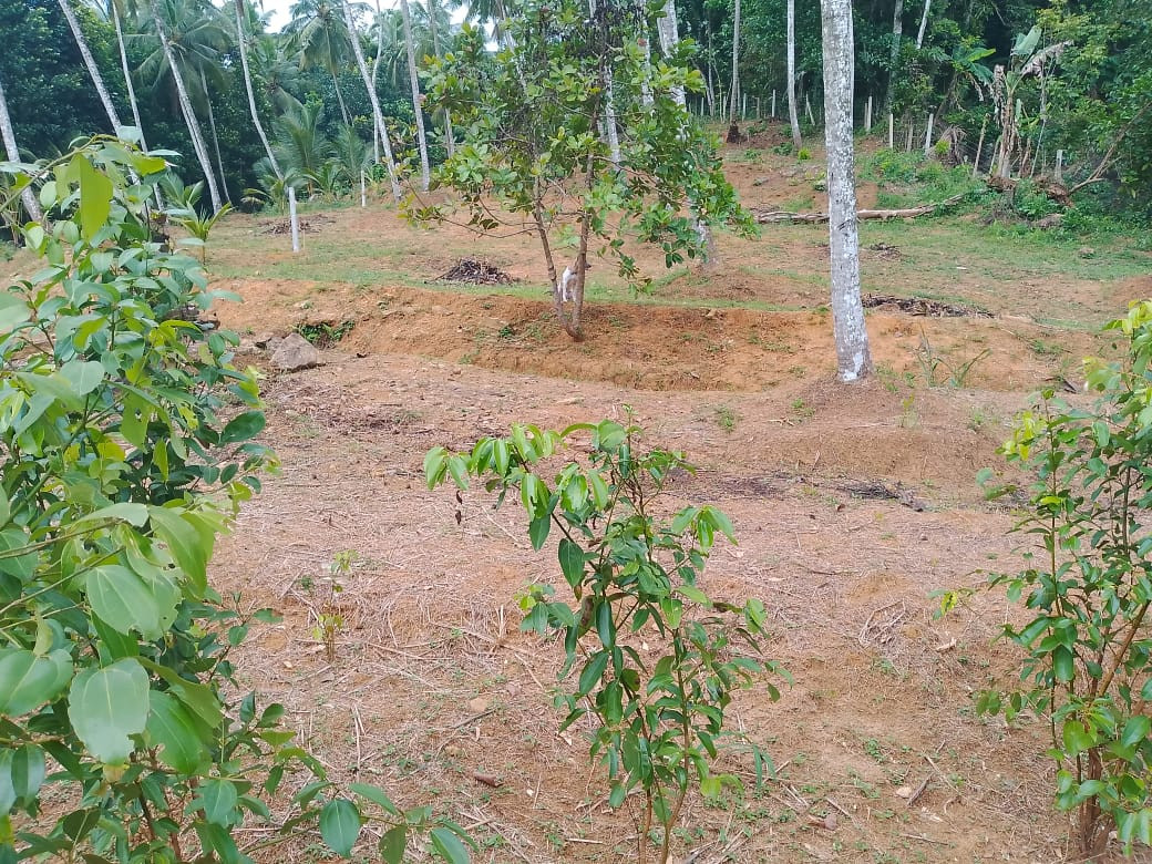 LAND FOR SALE IN HAGGALLA, NITTAMBUWA