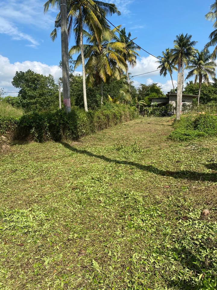 Katana Miriswatta land for sale