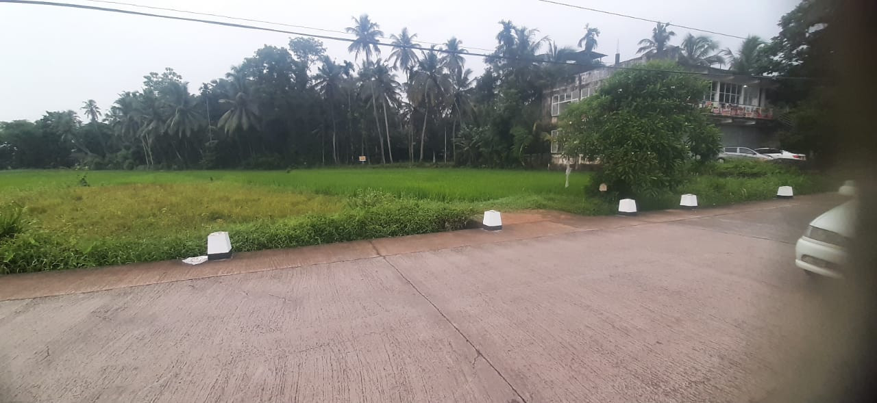 LAND FOR SALE IN BUTHPITIYA, GAMPAHA