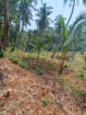 LAND FOR SALE IN HAGGALLA, NITTAMBUWA