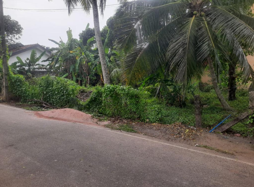 Bare land for sale in dalupotha , Negombo.