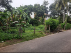 Bare land for sale in dalupotha , Negombo.