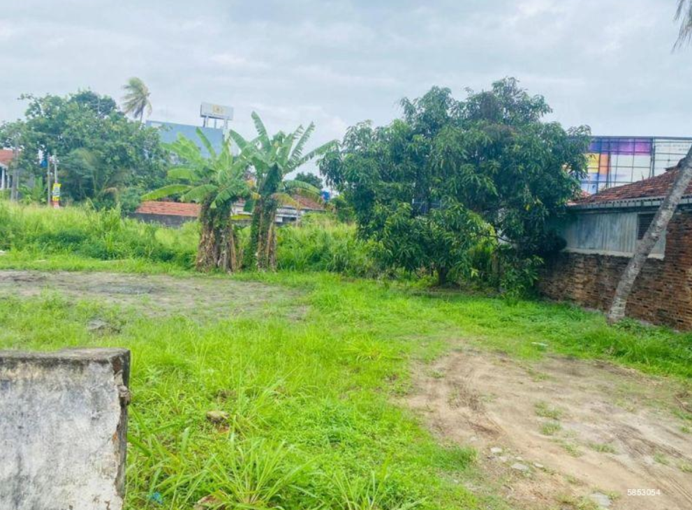Land For Sale in Negombo.