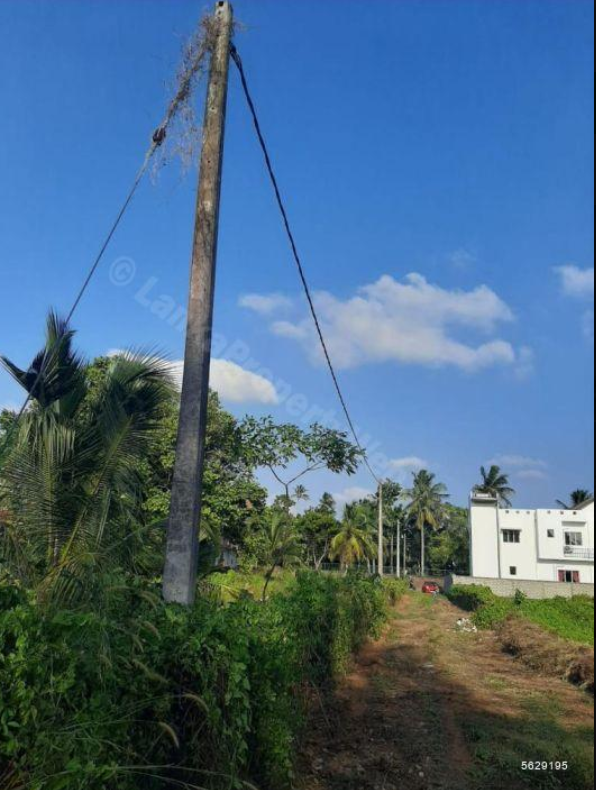 Negombo, Daluwakotuwa