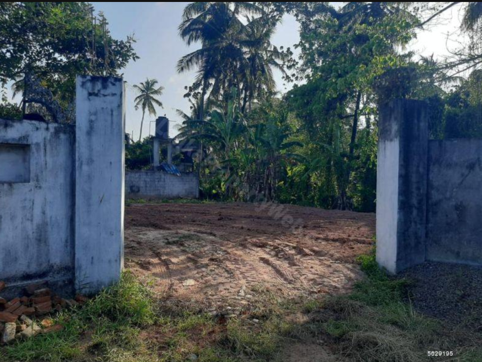 Negombo, Daluwakotuwa