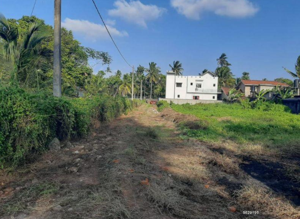 Negombo, Daluwakotuwa