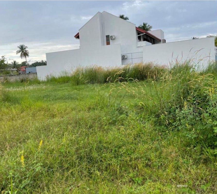 Prime Residential Land in Prestigious Gated Community – Negombo