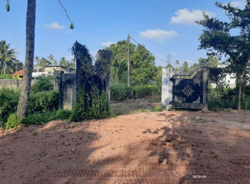 Negombo, Daluwakotuwa