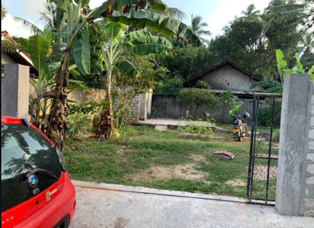Negombo/ Kochchikade Town