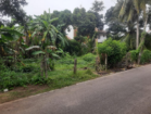 Bare land for sale in dalupotha , Negombo.