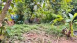 නවගමුවෙන් වටිනා පොල් ඉඩමක් විකිණීමට ඇත.