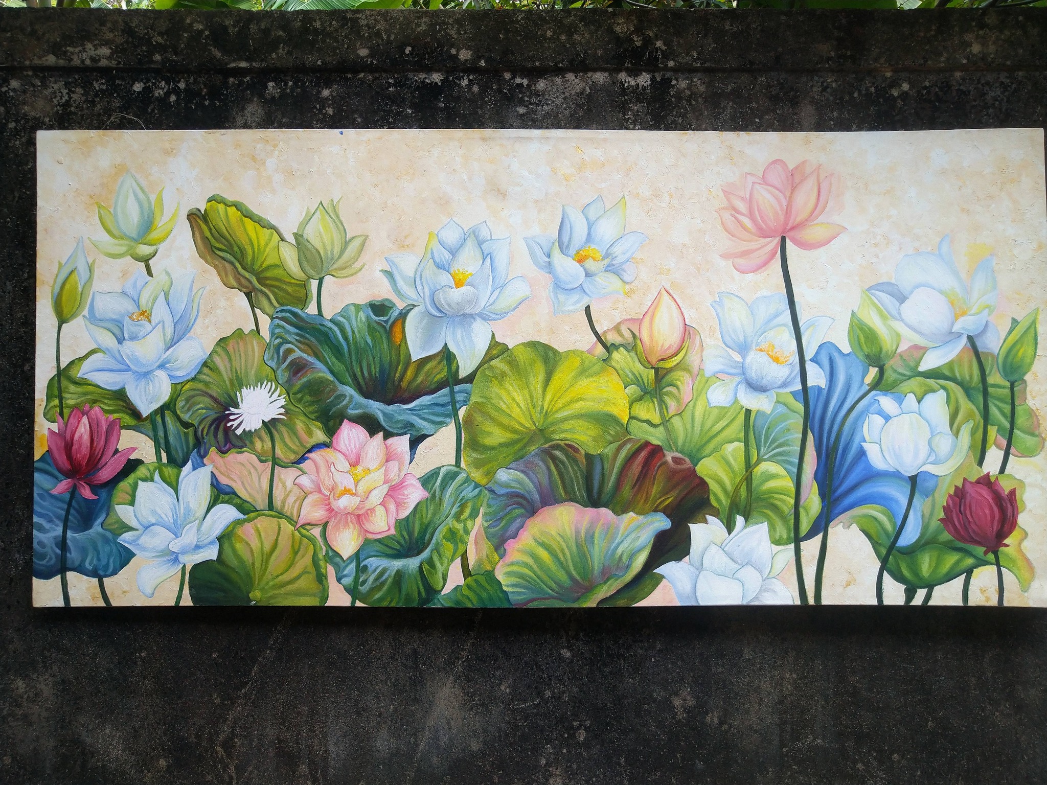 චිත්‍ර පන්ති