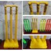 plastic cricket stumps set