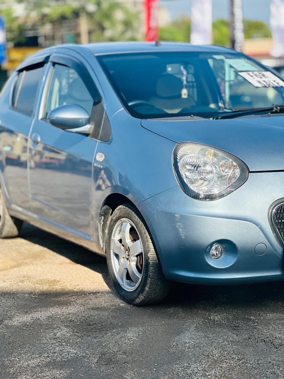 🔴 FOR SALE 🔴Panda