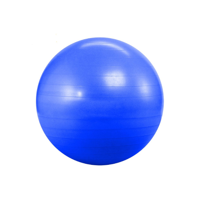 Gym Ball – 65cm