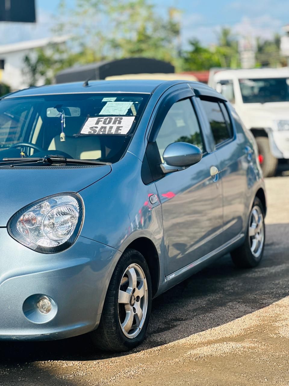 🔴 FOR SALE 🔴Panda